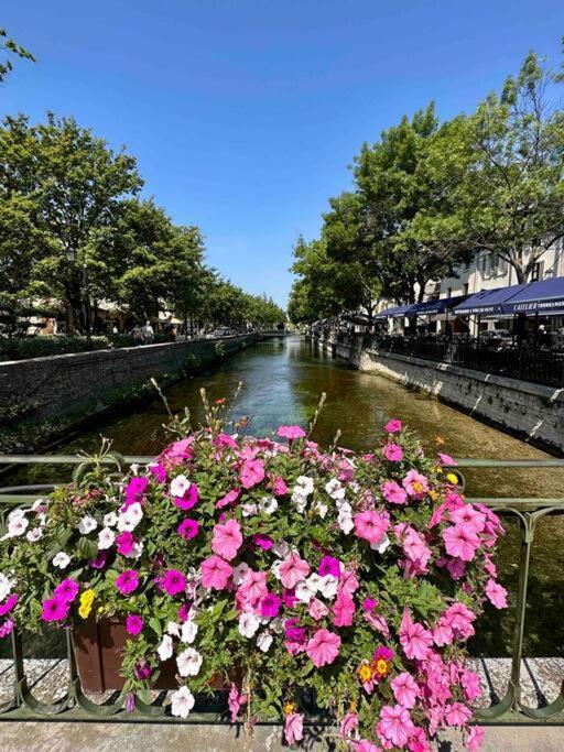 Lou Paseo : Appartement Brocante Centre Historique L'Isle-sur-la-Sorgue Bagian luar foto