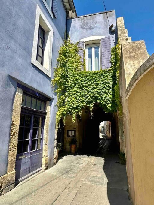 Lou Paseo : Appartement Brocante Centre Historique L'Isle-sur-la-Sorgue Bagian luar foto